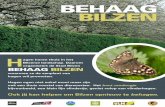 Behaag Bilzen - flyer 2015