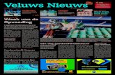Veluws Nieuws week40