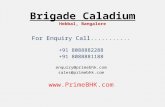 Brigade caladium, hebbal, bangalore