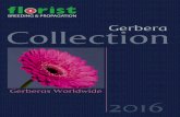 Gerbera Catalogue 2016