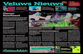 Veluws Nieuws week42