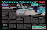 Veluws Nieuws week43