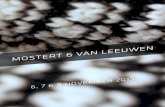Mostert & Van Leeuwen 2015