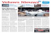 Veluws Nieuws week45