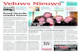 Veluws Nieuws week47