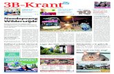 3B Krant week48