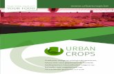 Urban crops container