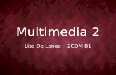 Multimedia 2