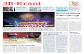 3B Krant week53