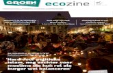 Ecozine 30
