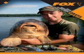 FOX 2016 NL