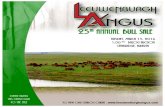 Leeuwenburg Angus Bull Sale 2016