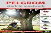 Pelgrom T&P folder 2016