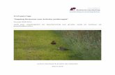 Sloothaak & den hollander 2016 rapportage regeling rustzones voor weidevogels 2008 2015