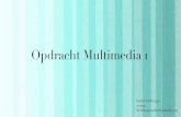 Multimedia 1 (Ineke Verhaege