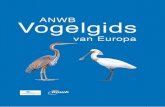 Lars Svensson - ANWB Vogelgids van Europa