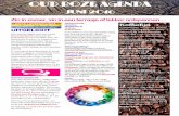 Oudroze agenda 06 jun 2016