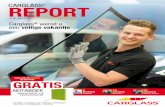 Carglass Report 38