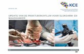 Report in English with a Dutch summary (KCE reports 179A)