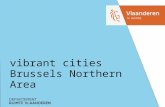 Cass Cities - RuimteVlaanderen presentatie gecoro Machelen/Vilvoorde