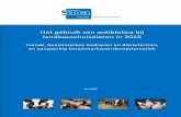 'Het gebruik van antibiotica bij landbouwhuisdieren in 2015'; Trends ...