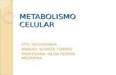 Profesora Hilda Fermin de CTA Metabolismocelular