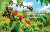 Brochure Meerdere wegen naar duurzame koffie