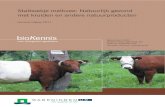 Stalboekje melkvee: Natuurlijk gezond met kruiden en andere