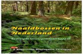 Naaldbossen in Nederland Naaldbossen in Nederland ...