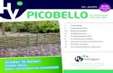 Picobello voorjaar 2016