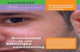 Factsheet Homoseksualiteit in multicultureel Nederland