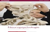 Neuropsychologie Brochure