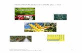 Programmaplan Biobased Economy gemeente Emmen 2012-2016