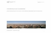 rapport stedenstructuur