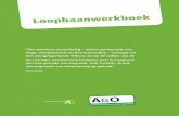 Loopbaanwerkboek (PDF - 9,18 MB)