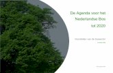 De Agenda voor het Nederlandse Bos tot 2020