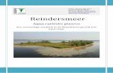 Reindersmeer - 14 augustus 2012.pdf