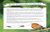Flyer 'Wat is Biodiversiteit'