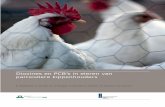 Dioxines en PCB's in eieren van particuliere kippenhouders