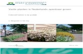 Vaste planten in Nederlands openbaar groen