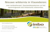 Nieuwe wildernis in Vlaanderen: over oerbosherstel
