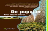 De populier; natuur, milieu en landschap