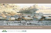 Schapen en geiten in Nederland