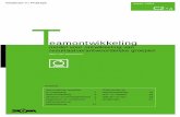Fasenmodel van Goof van Amelsvoort (pdf)