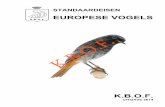 EUROPESE VOGELS K.B.O.F.