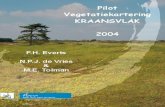 Vegetatiekartering Kraansvlak 2004