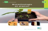 Biotechnologie en planten (pdf - 2,1MB)