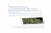 Mossen en korstmossen Buitengoor (Mol)