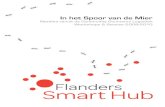 Flanders Smart Hub: In het spoor van de mier