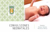 Convulsiones neonatales
